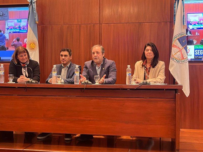 Panel de la jornada De Pie por una Atención Segura en la Legislatura de Jujuy